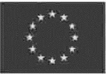 6.10.2017 C 335/83 ZAŁĄCZNIK IX ORIENTACYJNY WZÓR POUCZENIA O PRAWACH DLA OSÓB ZATRZYMANYCH NA PODSTAWIE ENA ZAŁĄCZNIK II do dyrektywy 2012/13/UE w sprawie prawa do informacji w postępowaniu karnym (