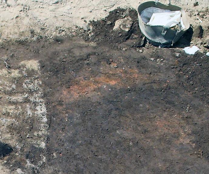 2 A obraz uwęglonych fragmentów słomy z ogniska w pobliżu mastaby B obraz