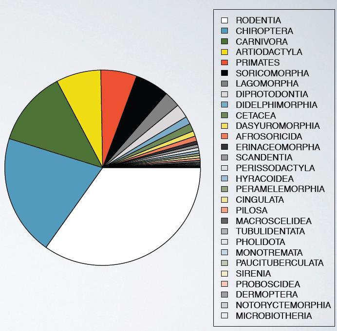 chart) 56
