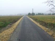 nr 003226 Podborek Błonie - 450 mb 3.