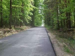 2009-2010 Przebudowa dróg powiatowych na terenie Gminy Rytwiany 1. nr 00813T na odcinku Wiśniówka Strzegomek.