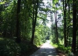 nr 003215T Rytwiany ul. Kościelna 3.