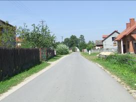 Kolonia. 5.