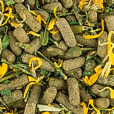 REPTILES HERBIVORE Pokarm dla roślinożernych i wszystkożernych gadów.