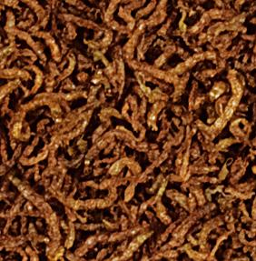 NAZWA SKŁAD WŁAŚCIWOŚCI Pokarmy liofilizowane FD Blood Worms liofilizowane larwy ochotki