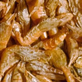 wolny od patogenów (liofilizacja niszczy niebezpieczne patogeny) FD River Shrimp