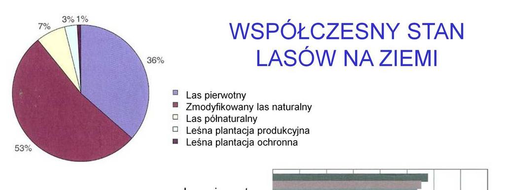 Zdecydowana większość lasów na Ziemi, to systemy zmienione przez