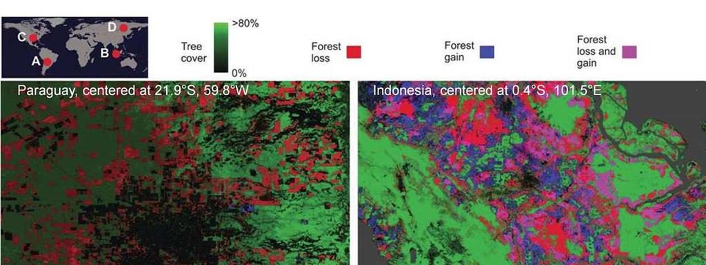 Fig. 2Regional subsets of 2000 tree cover and 2000 to 2012 forest loss and gain.
