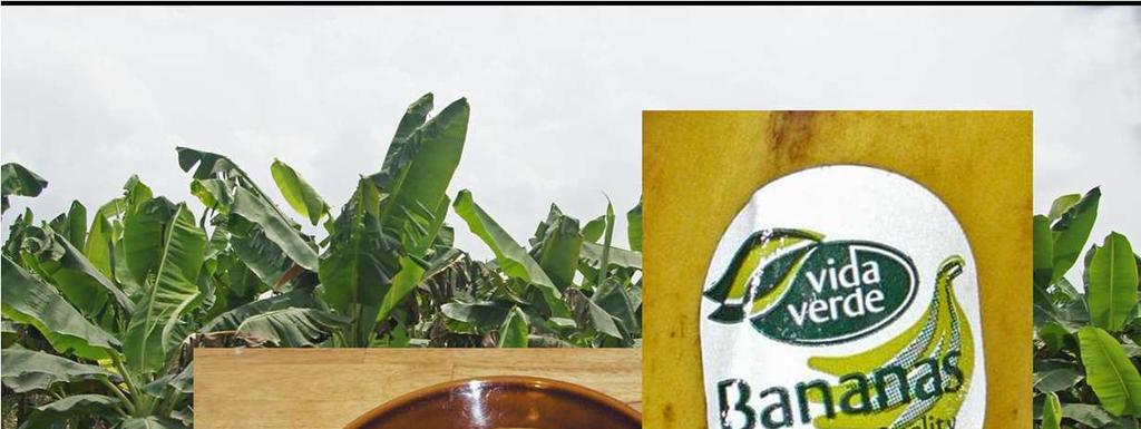 Banany, produkowane na plantacja we wszystkich krajach