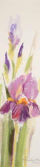 pastel, papier, 3 48 13 cm w świetle