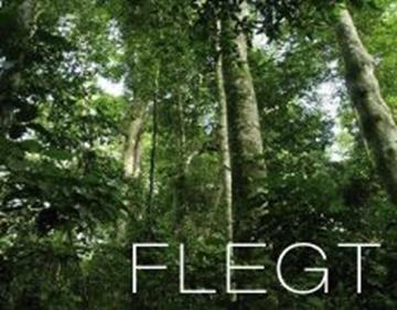 FLEGT - Forest Law Enforcement Governance and Trade Europejski