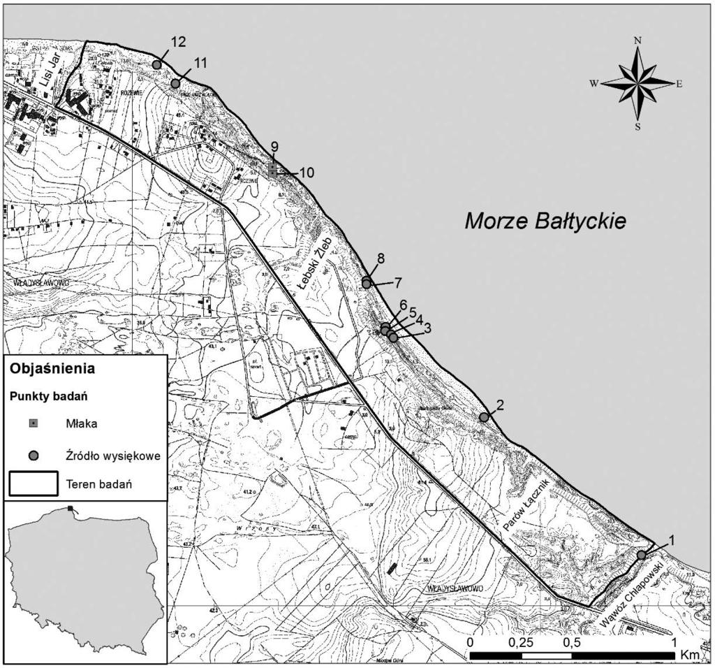 Warunki występowania naturalnych wypływów wód podziemnych w rejonie Przylądka Rozewie Mgr Dawid Potrykus Zakład Usług Hydrogeologicznych Jarosław Florczuk Rejon Przylądka Rozewie ze względu na