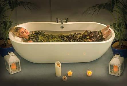 Fucus Serratus Seaweed Bath Luksusowa odnowa biologiczna SPA dla Twojej skóry Podaruj swojej skórze wyjątkową pielęgnację SPA, dzięki kąpielom w naturalnych, ręcznie wyławianych irlandzkich