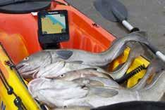 tabletów Raymarine Wi-Fish przekształci Twój tablet lub smartfon w wydajny sonar CHIRP DownVision.