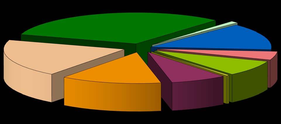 STRUKTURA WOLNYCH MIEJSC PRACY WEDŁUG ZAWODÓW W OKRESIE 5 MIESIĘCY 2013 ROKU Ogółem - 14.481 wolnych miejsc pracy Pracownicy usług i sprzedawcy 4.