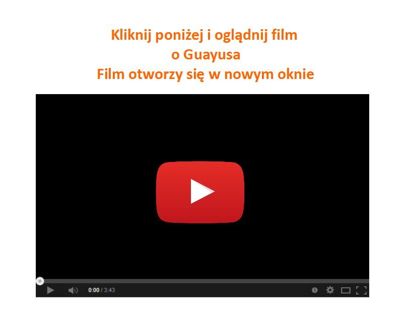 Guayusa (czytaj "łajusa") Guayusa to roślina
