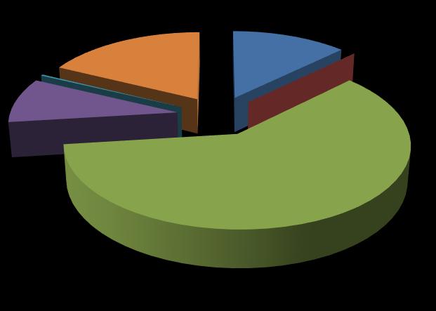 17,7% 12,7% 0,3% 0,0% Energia elektryczna 9,0% Gaz Ciepło sieciowe 60,4% Olej opałowy Drewno Węgiel Rysunek 13 Struktura zużycia nośników