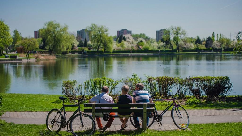 Rower metropolitalny IDEA Stworzenie i integracja spójnego systemu, który umożliwi wypożyczenie roweru w jednym