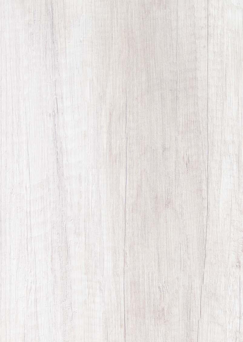 1. CREMA DI FUNGHI makaron tagliatelle, kurczak, pieczarki, cebula, czosnek, świeża pietruszka, sos śmietanowy, ser parmezan 19,50zł (450g) CREMA DI FUNGI - tagliatelle with chicken, mushrooms,