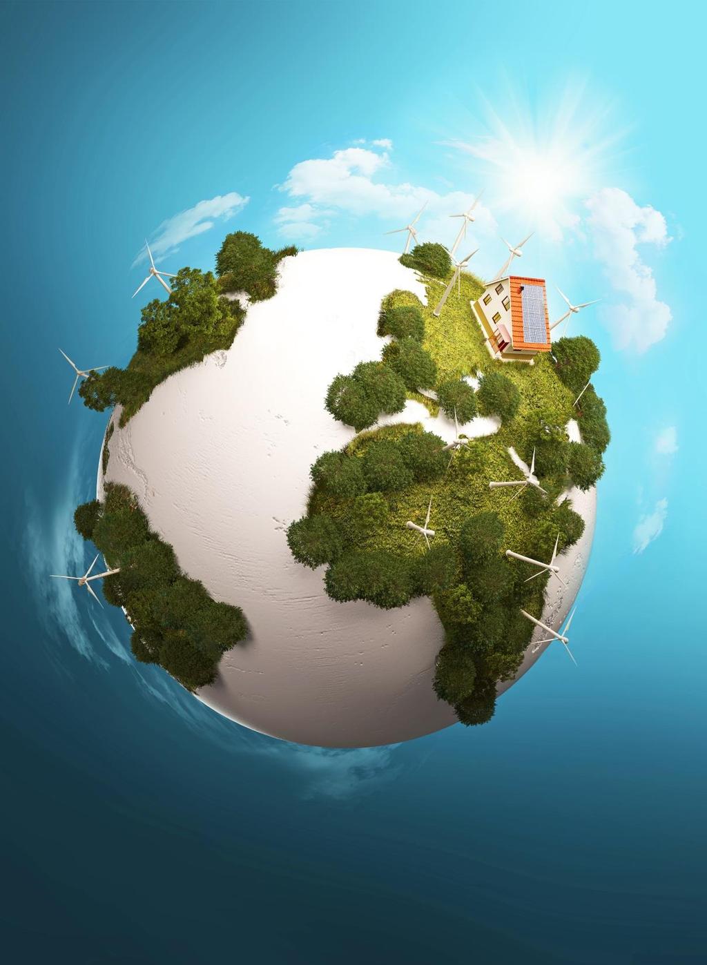 Realizowany przez Lasy Państwowe projekt obejmuje wyznaczenie technologii optymalnego przetwarzania biomasy drzewnej w energię elektryczną i cieplną oraz opracowanie