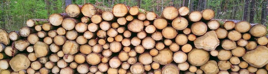 Opłacalność ekonomiczną pozostałości zrębowych warunkuje ich wilgotność.