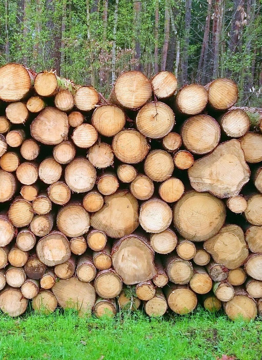 Składowanie drewna energetycznego na składnicach