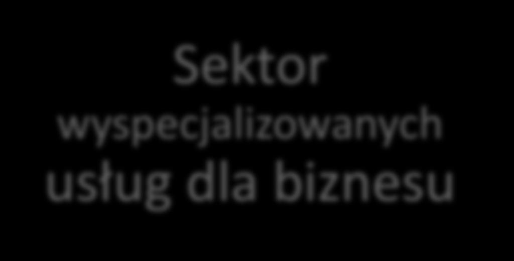 wyspecjalizowanych usług dla biznesu BPO (Business Proces Outsoursing