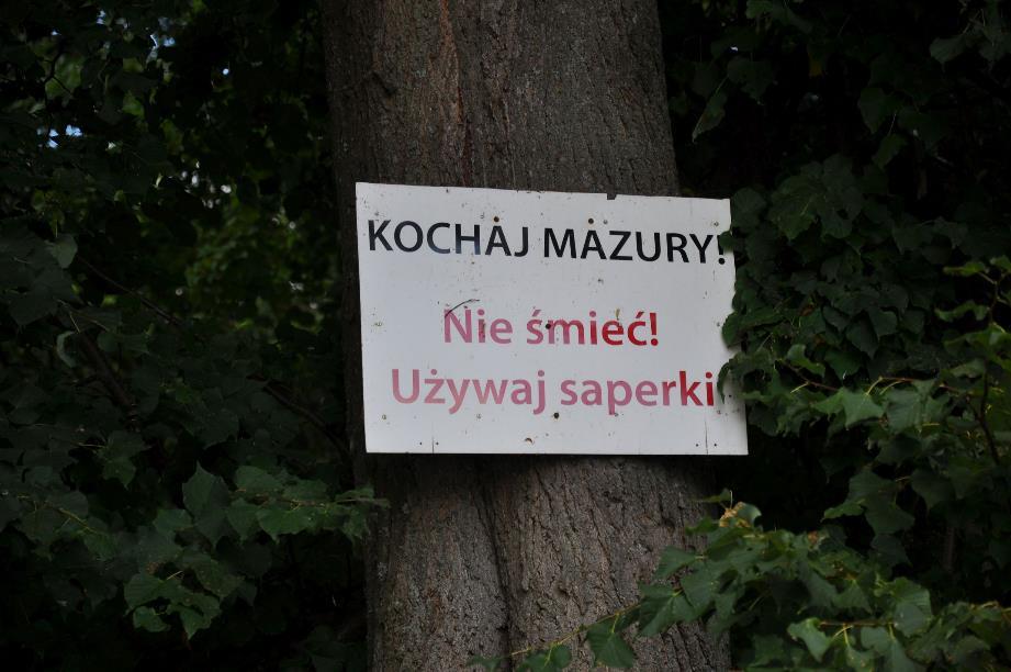 Fekalia znajdowały się wszędzie, w głębi lasu, przy ścieżkach i na ścieżkach.