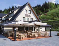 Hotel ponúka okrem ubytovacích kapacít aj banketovú sálu, konferenčné priestory, prístrešky na grilovanie, saunu,