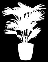 0 x 80 cm wzory, kolory: