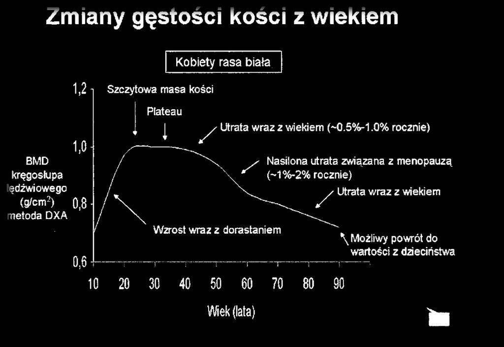 1) Wysoki przyrost wartości BMD w okresie wzrostu i dojrzewania (nastolatki). 2) Szczytowa masa kostna uzyskiwana jest w wieku nastoletnim lub u wczesnych dwudziestolatków.