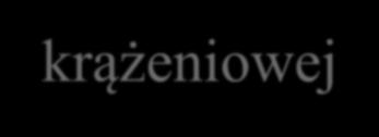Leczenie usprawniające w osteoporozie 4.