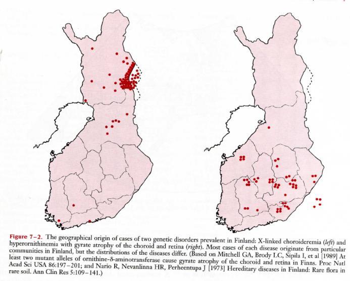 Efekt Założyciela w populacji fińskiej 36 rzadkich chorób 2 fale migracyjne (4000 i 2000 lat temu) Lata 90-te Finnish