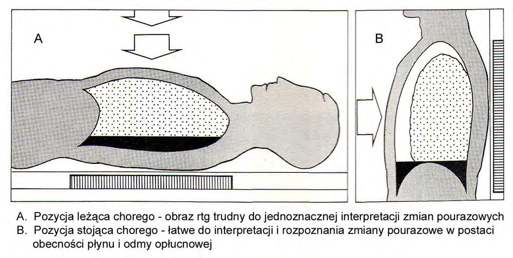 Diagnostyka (obecności)