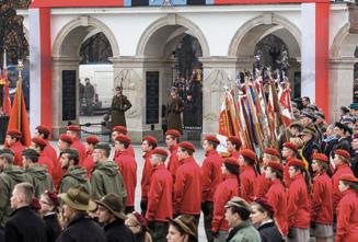 Armii Polskiej we Francji. Jej istnienie przyczyniło się do uznania Polski przez koalicję za państwo sojusznicze, a Komitet Narodowy Polski za oficjalnego reprezentanta interesów polskich.