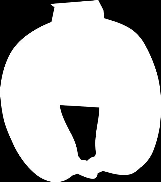 Zapewnia  Ref.