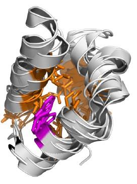 Zastosowanie rzadkiego próbkowania w homojądrowych widmach 3D NMR Dr Michał Nowakowski, Nowe metody spektroskopii NMR w badaniach strukturalnych biomolekuł, lyam@chem.uw.edu.pl, 225543666; http://nmr.