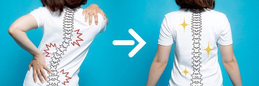 Wdrożenie i realizacja programu wczesnego wykrywania wad rozwojowych i rehabilitacji dzieci klas I-VI szkół podstawowych, w zakresie otyłości i chorób kręgosłupa, w CM ARNICA w Starych Babicach