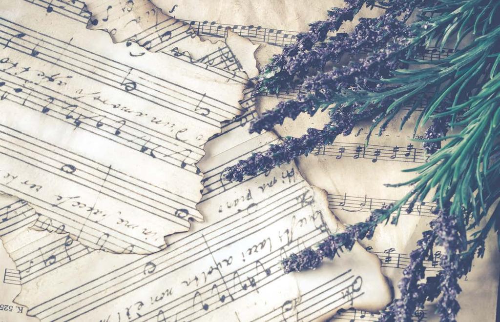 Muzykoterapia w chorobach nowotworowych dr Elżbieta Galińska Kierownik Pracowni Muzykoterapii w Klinice Nerwic, Zaburzeń Osobowości i Zaburzeń Odżywiania Instytutu Psychiatrii i Neurologii w