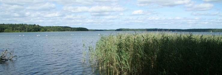 Jezioro: Gospodarka rybacka na W. Bytyniu ok.