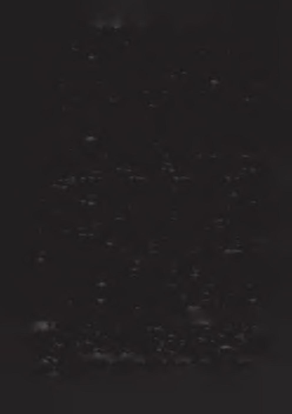 Dane z rozwoju mowy dziecka oraz terapii logopedycznej w interpretacji fonologicznej.