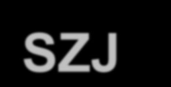 Rozporządzenie Min. Zdrowia z 18.02.2011 8. Szczegółowy zakres audytu i termin jego przeprowadzenia określa kierownik jednostki ochrony zdrowia w poleceniu, o którym mowa w ust. 1. 9.