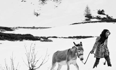 LICEUM LICEUM FORTUNA 14+ Fortuna, reż. Germinal Roaux, Szwajcaria/Belgia, 2018, 106 (PL,EN) Konkurs Filmów Młodzieżowych KOZA U NOGI 14+ Bad Lucky Goat, reż.