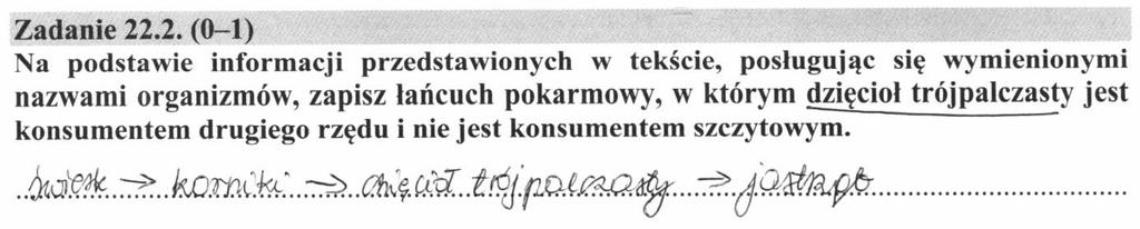 .2., którego poziom wykonania również był bardzo niski (17), polegało na zapisaniu, na podstawie informacji przedstawionych w tekście, łańcucha pokarmowego, w którym dzięcioł trójpalczasty jest