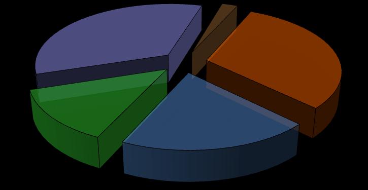 Źródła przychodów 21% 3% 16%