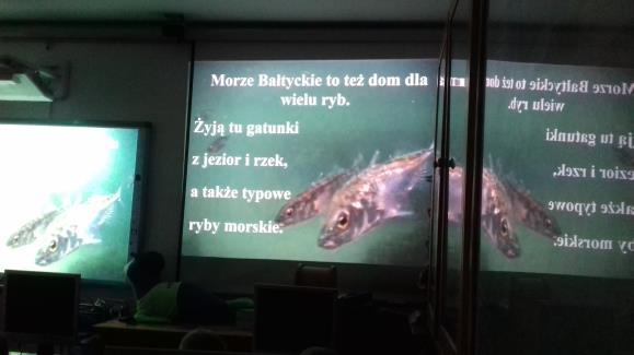 Na przełomie kwietnia i maja