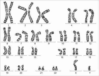 4 XV Konkurs z Biologii w województwie świętokrzyskim w roku szkolnym 2017/2018 Zadanie 7 (0 2 pkt) W przypadku jakich grup krwi możliwe jest aby w rodzinie złożonej z rodziców i dwojga dzieci każda