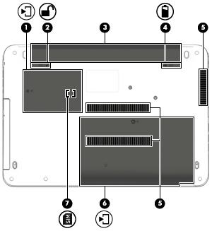 Spód Element Opis (1) Pokrywa serwisowa Zapewnia dostęp do gniazda modułu bezprzewodowej sieci LAN (WLAN), gniazda modułu sieci WWAN i gniazda karty SIM.