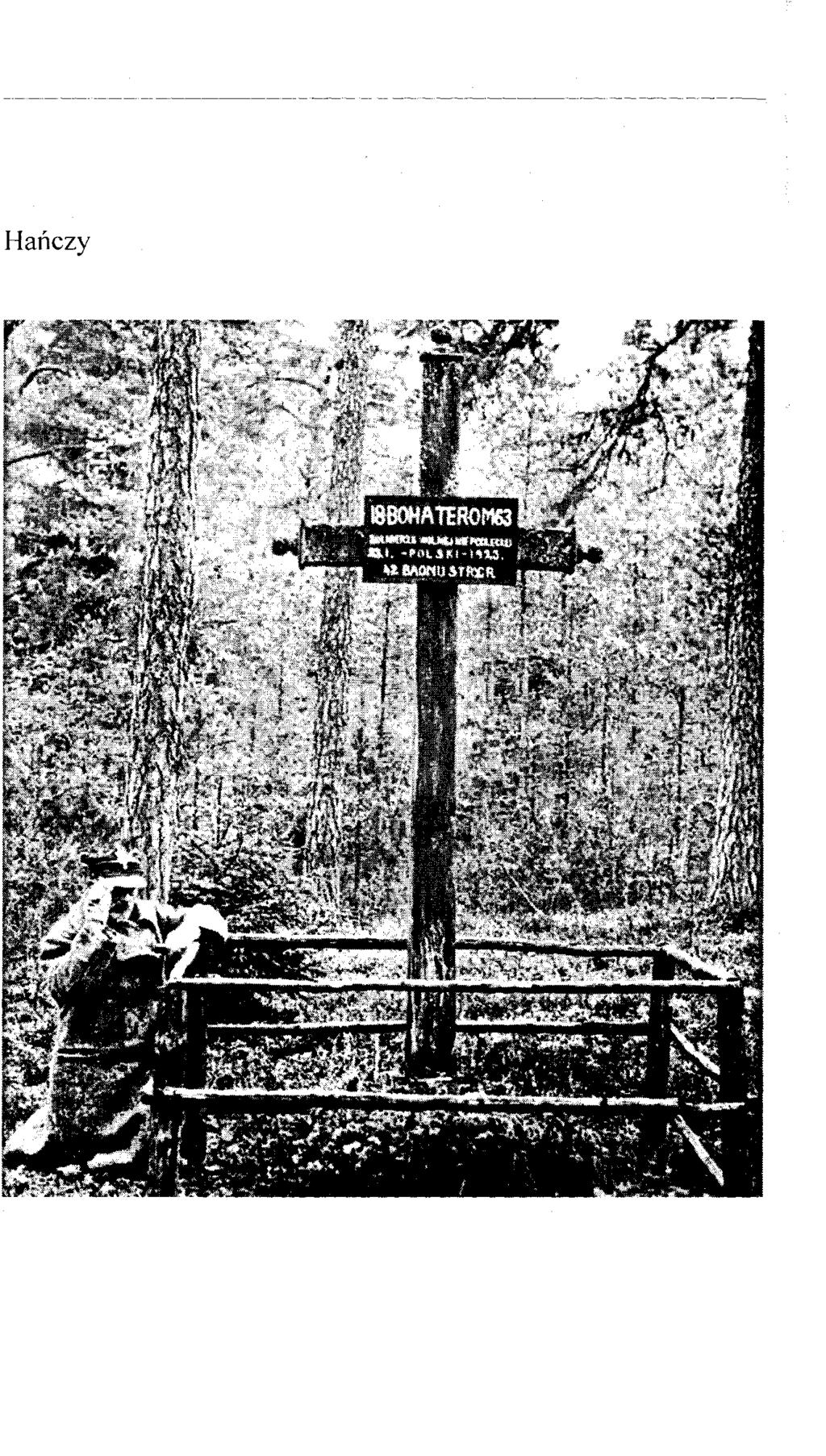 J 58 JAROSŁAW DOMOSŁAWSKI JAROSLAW JURKIEWICZ -- ciosy wojskom ekspedycyjnym, lecz na widok rozciągniętej bate rii artylerii nie przyj ął walnej bitwy.