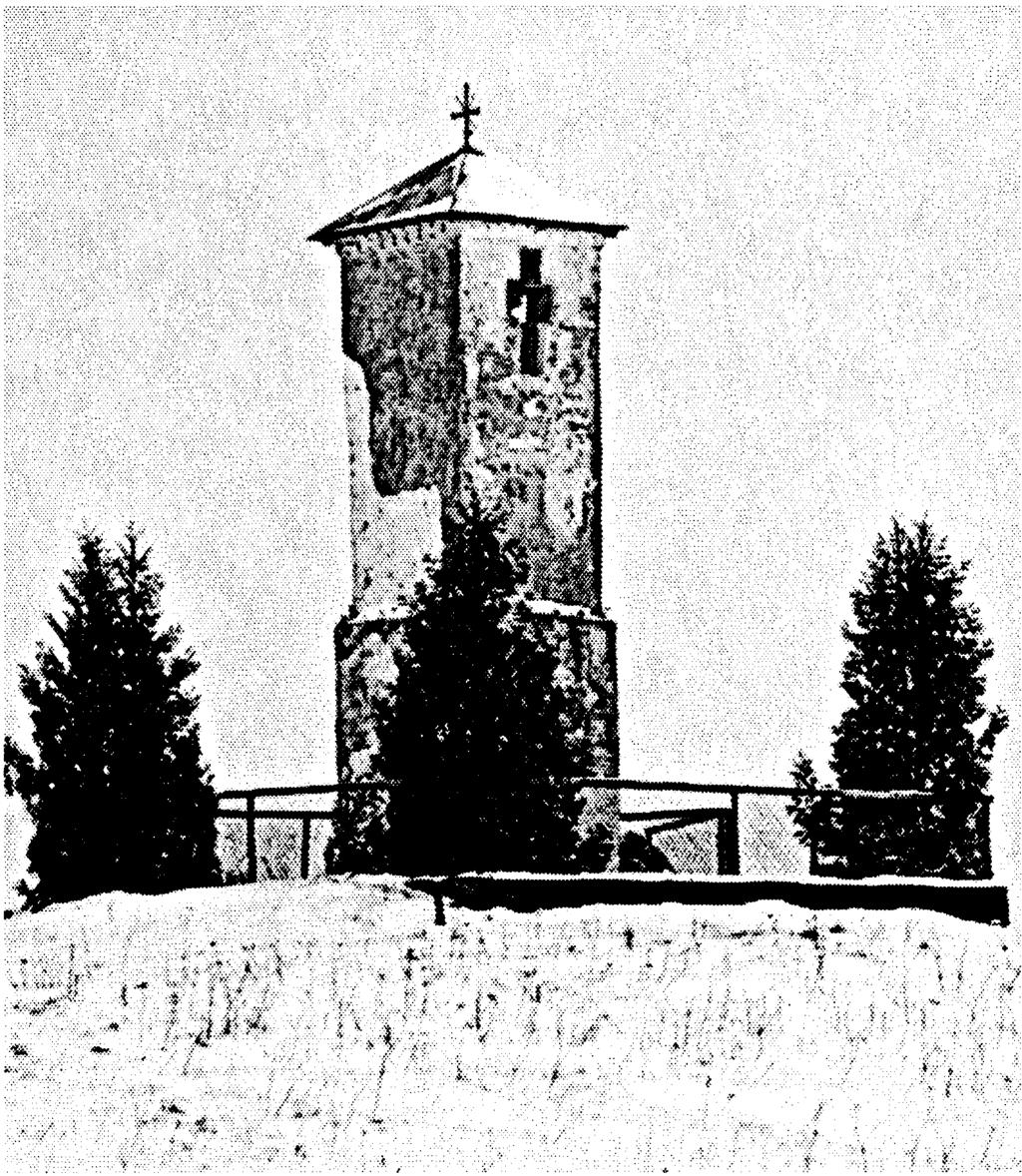 POWSTANIE STYCZNIOWE NA ZIEMI SUWALSKO-SEJNEŃSKIEJ 159 Był to jeden z większych sukcesów militarnych powstańców w regionie.